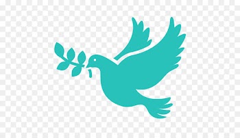 Computer Icons Doves as symbols Photography - spirit 