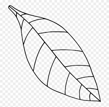Computer Icons Drawing Black And White Leaf Coloring - Leaf Drawing