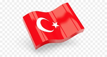 Computer Icons Flag of Morocco Flag of New Zealand - Png Turkey Flag Simple 