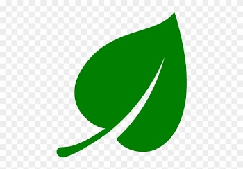Computer Icons Green Leaf Clip Art - Green Leaf Icon