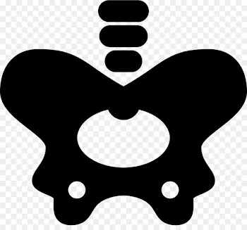 Computer Icons Hip bone Clip art Vector graphics - hips icon 
