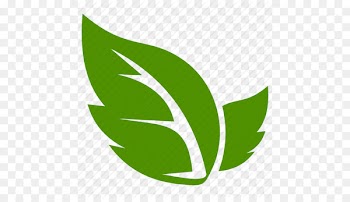 Computer Icons Leaf Clip art - Leaf, Leave Icon Png 