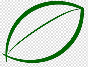 Computer Icons Leaf , green leaf transparent background PNG clipart