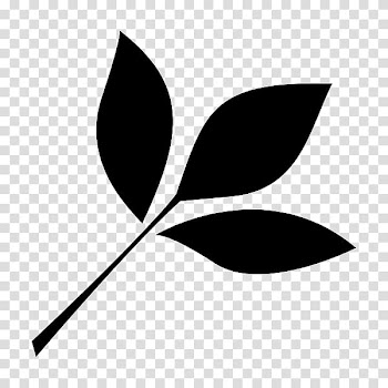 Computer Icons Leaf , natural leaves transparent background PNG clipart