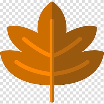 Computer Icons Maple leaf , multicolored maple leaf transparent background PNG clipart