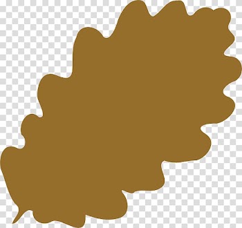 Computer Icons Maple leaf , shaped leaves transparent background PNG clipart