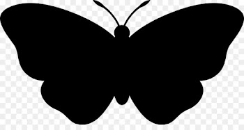 Computer Icons, Photography, Encapsulated Postscript, Butterfly, Moths And Butterflies PNG
