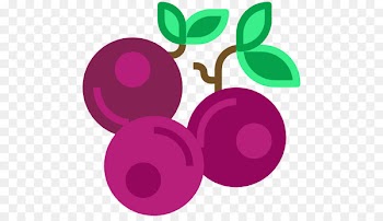 Computer Icons Scalable Vector Graphics Clip art Fruit - blueberries icon 