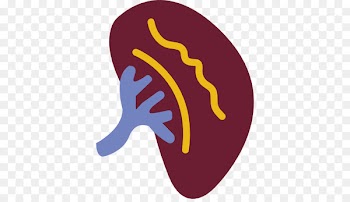 Computer Icons Scalable Vector Graphics Portable Network Graphics Clip art Encapsulated PostScript - diseases icon 
