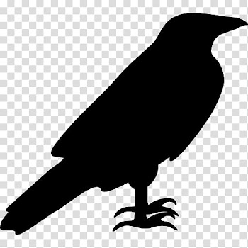 Computer Icons Silhouette , raven transparent background PNG clipart