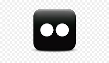 Computer Icons Social media Flickr Website Blog - Free Download Flickr Logo Images 