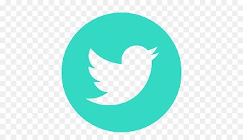 Computer Icons Twitter YouTube Bird Republic Day - teal 