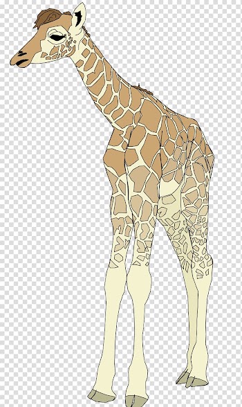 Computer Icons , watercolor giraffe transparent background PNG clipart