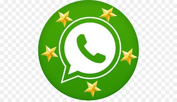 Computer Icons WhatsApp Download - whatsapp 