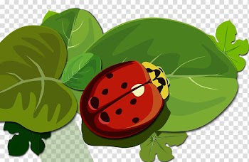 Computer mouse Mousepad iPad, Ladybug on a leaf transparent background PNG clipart