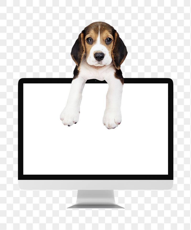 Computer screen png puppy sticker, | Free PNG - rawpixel