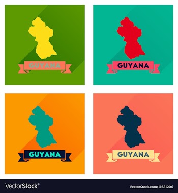 Concept flat icons with long shadow Guyana map vector image