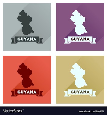 Concept flat icons with long shadow Guyana map vector image