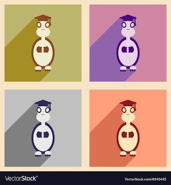 Concept flat icons with long shadow turtle cartoon vector image