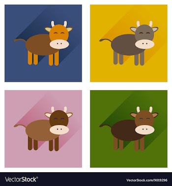 Concept of flat icons with long shadow cow calf vector image