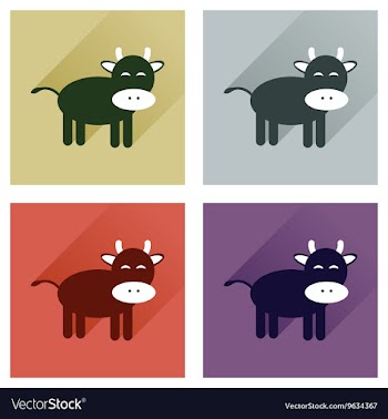 Concept of flat icons with long shadow cow calf vector image