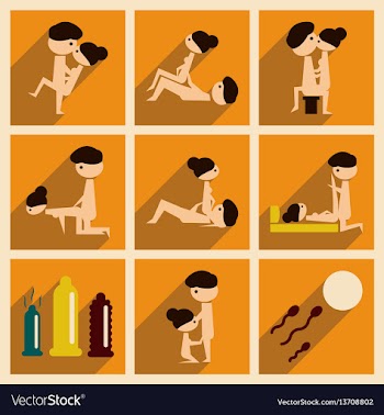 Concept of flat icons with long shadow sex vector image