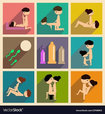 Concept of flat icons with long shadow sex vector image