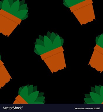concept of pattern of repeating succulents