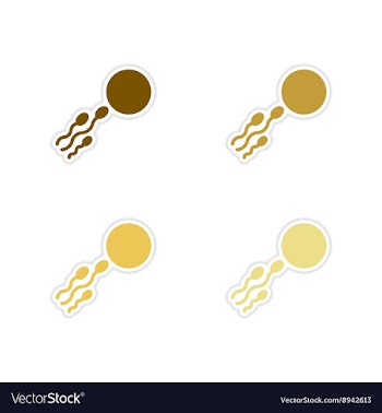Concept paper stickers on white background sperm vector image