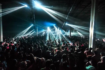 Concert Crowd