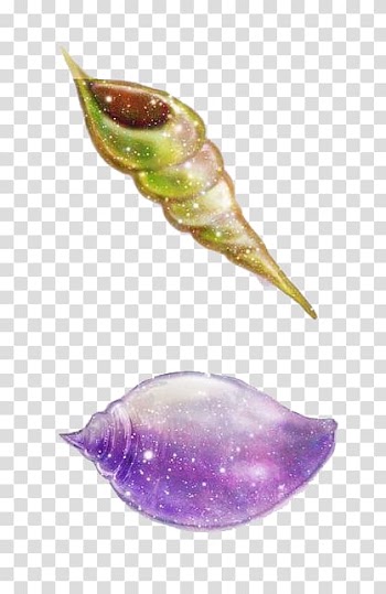 Conch Cartoon Adobe Illustrator, Cartoon conch transparent background PNG clipart