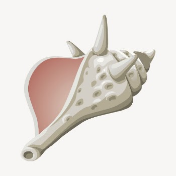 Conch collage element, seashell illustration | Free PSD - rawpixel