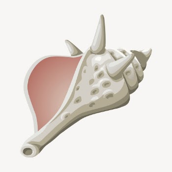 Conch illustration. Free public domain | Free Photo - rawpixel