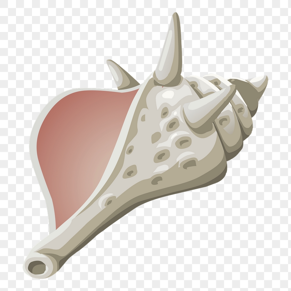 Conch png sticker seashell illustration, | Free PNG - rawpixel