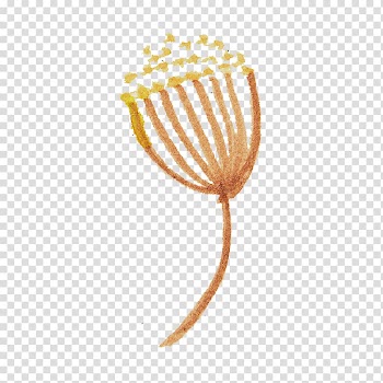 Conchology Computer , Watercolor flowers transparent background PNG clipart