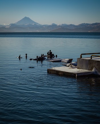 Concrete Dock