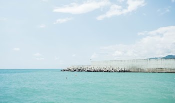 Concrete Dock during Day
