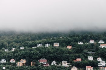 concrete houses surrounded by trees under gray sky