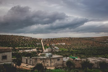 Concrete Houses Under Gray Skies