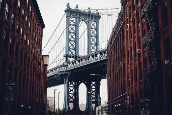 Concrete Jungle. Original public domain | Free Photo - rawpixel