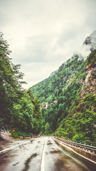 Concrete Pavement Between Green Tall Tree and Tall Mountain