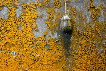 Concrete Pavement With Orange Molds