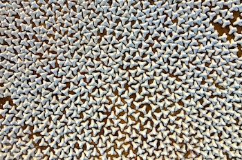 Concrete Products  