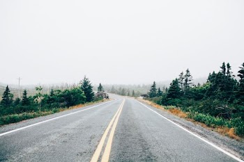 concrete road between trees