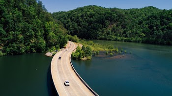 Concrete Road Bridge Near Trees
