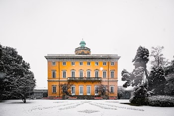 Concrete Structure Surrounded by Trees Covered in Snow