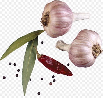 Condiment Spice Garlic Encapsulated PostScript - Garlic seasoning spices 