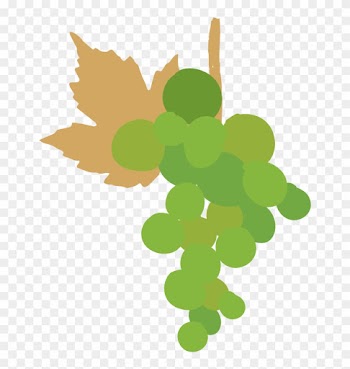 Condition For Grapes To Stay Longer In The Vine And - Clip Art Grape Leaves