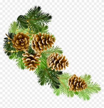 Cone Clipart Pine Tree Branch - Pine Cone Border Clip Art