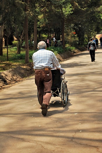 conejoaureo_x-walking-in-the-park-2.